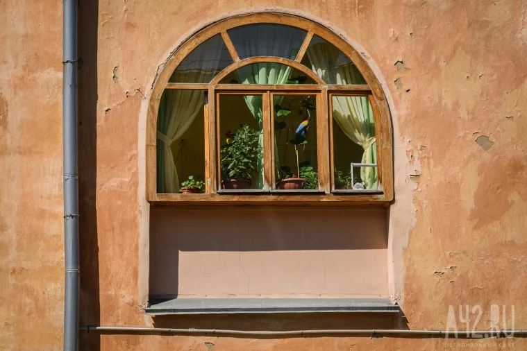 Фото: Окна Кемерова 17