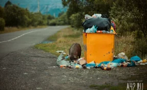 Юрист рассказал, за выброс какого мусора в контейнер может грозить штраф