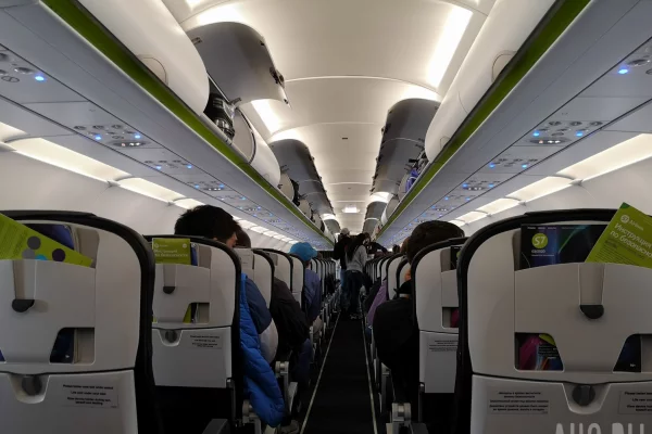 Авиапассажиров с двумя и более детьми до 12 лет с марта будут размещать рядом