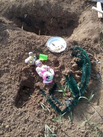 Фото: Полиция ищет вандалов, раскопавших могилы детей в Новокузнецке 1