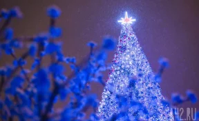 Следующая рабочая неделя будет двухдневной