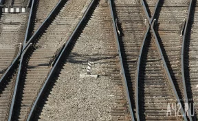 Друзья бросили в траве: в Подмосковье спасли школьника-зацепера, три дня пролежавшего в овраге