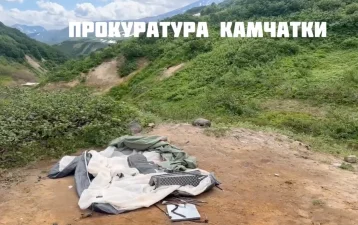 Фото: Прокуратура Камчатки опубликовала видео с места нападения медведя на туристку 1