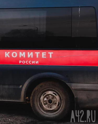 Бастрыкин затребовал доклад по уголовному делу об избиении школьницы в Кузбассе