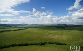 Очаги чумы выявлены близ границы Монголии и России 