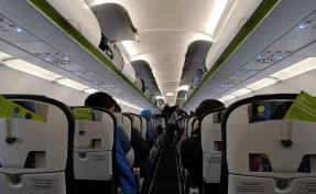 Авиапассажиров с двумя и более детьми до 12 лет с марта будут размещать рядом