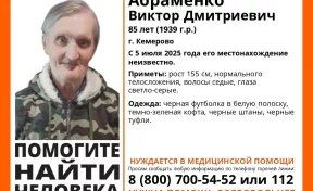 Нуждающийся в медпомощи 85-летний пенсионер пропал в Кемерове