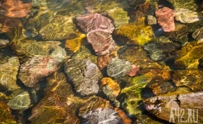 Власти Кузбасса привлекут к ответственности золотодобытчиков, загрязняющих реки в Тисульком округе