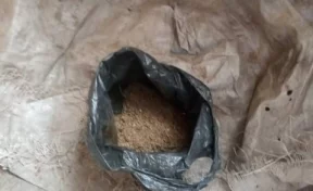 В столярной мастерской кузбассовца полицейские нашли пакет конопли