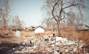 Мэра кузбасского города восхитили взрослые и дети, убиравшие чужой мусор вдоль трассы