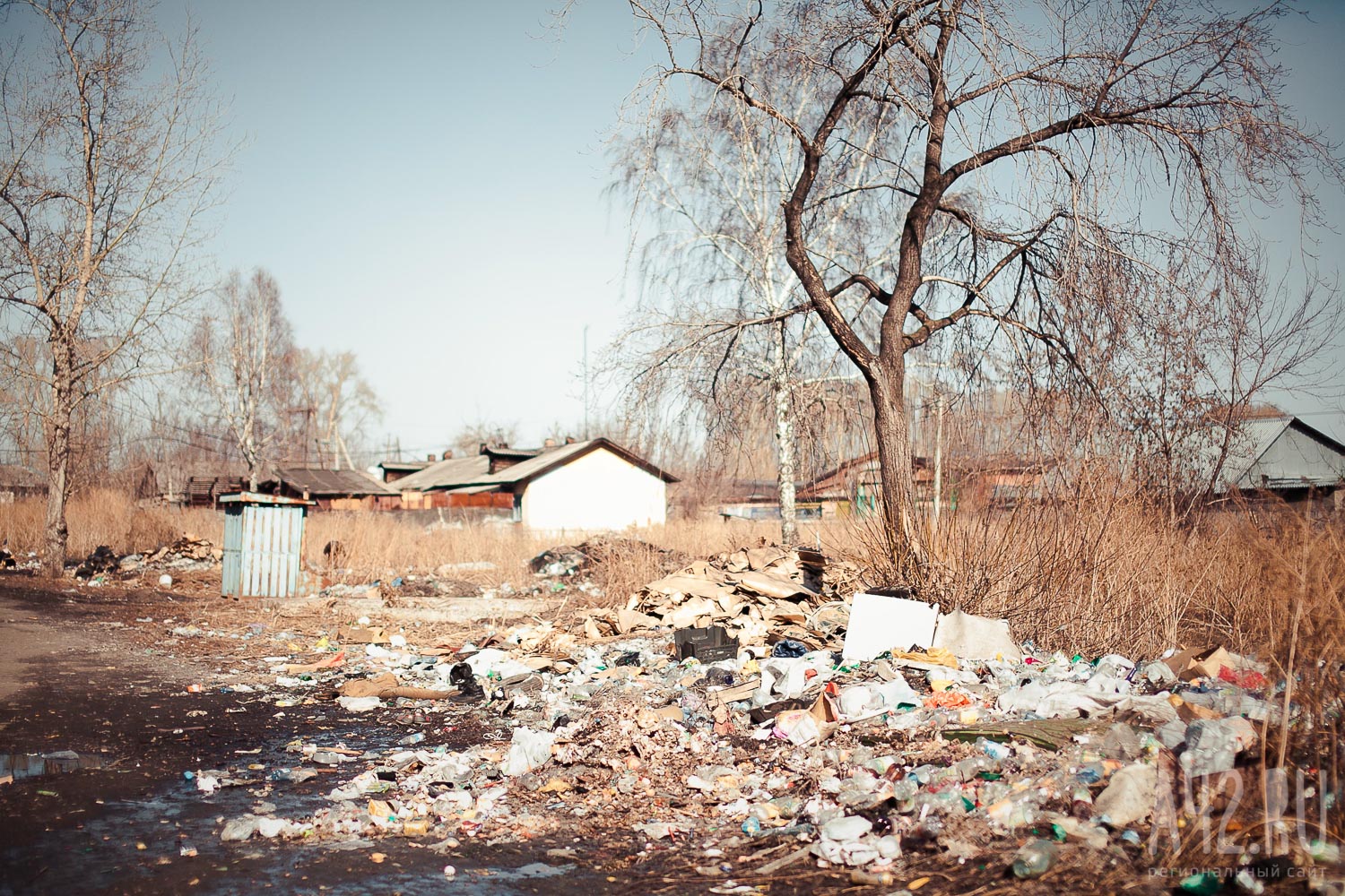 Мэра кузбасского города восхитили взрослые и дети, убиравшие чужой мусор вдоль трассы