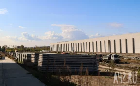 Директор Кемеровского ДОКа за 8 млрд рублей показал весь комбинат в коротком видео