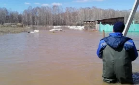 Спасатели показали кадры из затопленной деревни в Чебулинском округе
