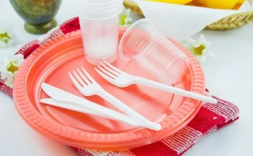 Фото: В Евросоюзе запретят пластиковые тарелки и ватные палочки 1