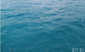 Крупнейшая судоходная компания Maersk приостановила проход судов через Ормузский пролив