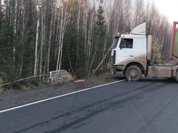 Фото: На трассе под Иркутском медведь стал причиной массового ДТП 1