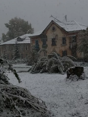 Фото: «А на улице зима!»: кемеровчане делятся в соцсетях фотографиями первого снега  2