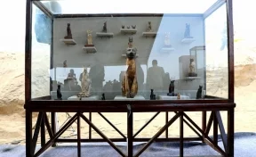 В египетских гробницах нашли сотни мумифицированных животных