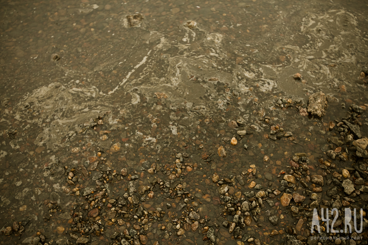 Власти Кузбасса сообщили о загрязнении ещё одной реки золотодобытчиками 