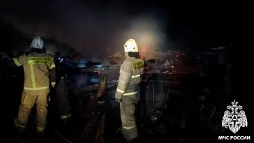 Фото: 40 кур заживо сгорели на пожаре в Кузбассе 2