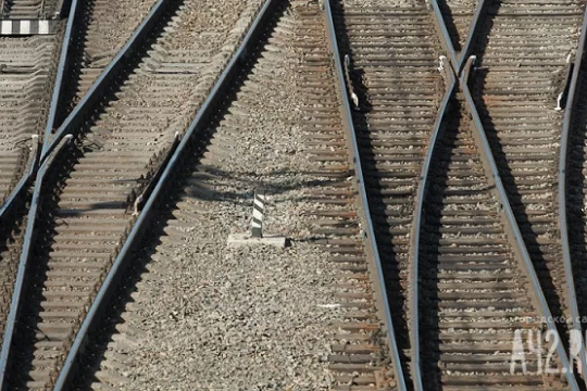 Друзья бросили в траве: в Подмосковье спасли школьника-зацепера, три дня пролежавшего в овраге