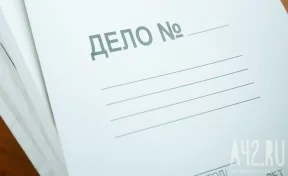 Убившей троих детей топором в Канске матери диагностировали психическое расстройство