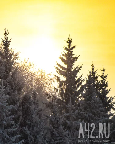 Синоптики дали прогноз погоды в Кузбассе на 17 января
