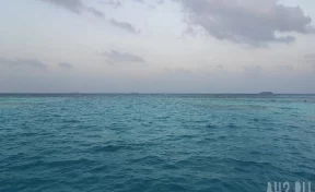 МО РФ: в Чёрном море обнаружен и уничтожен безэкипажный украинский катер 