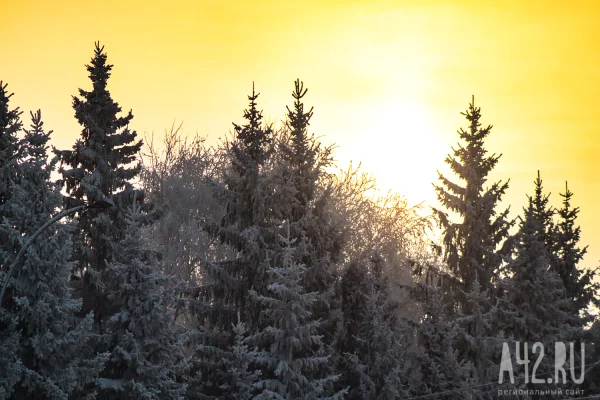 Синоптики дали прогноз погоды в Кузбассе на 17 января