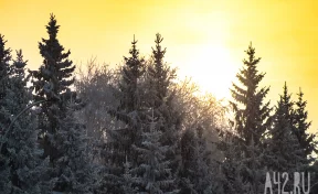 Синоптики дали прогноз погоды в Кузбассе на 17 января