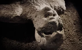 Взрывались головы: учёные установили, как умирали жители Помпеи при извержении Везувия