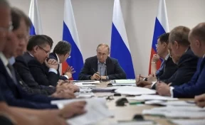 В Кремле назвали кулак Путина «чудесной рекомендацией»