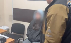 Мать расчленённого ребёнка призналась в его убийстве