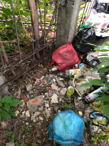 Фото: В Кемерове прокуратура заинтересовалась мусорной свалкой у больницы 2