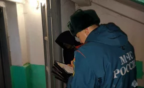 В Челябинской области женщина погибла на пожаре, начавшемся из-за шалости