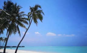 Мужчина, скрывший от жены огромный выигрыш в лотерею, пожалел о своём решении