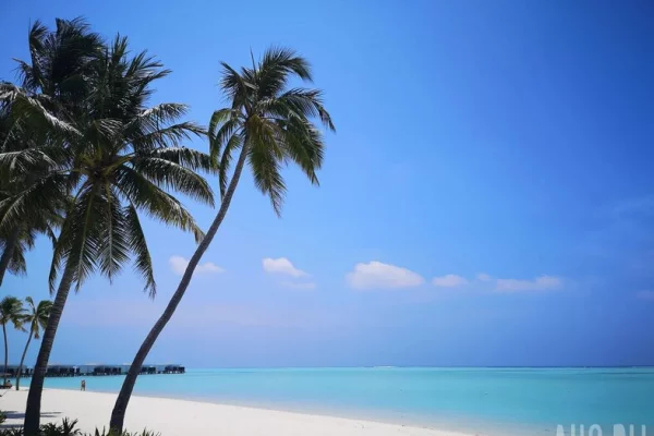 Мужчина, скрывший от жены огромный выигрыш в лотерею, пожалел о своём решении