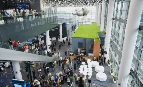 Рейсы в Улан-Удэ, Сочи и Екатеринбург задержали в аэропорту Кемерова