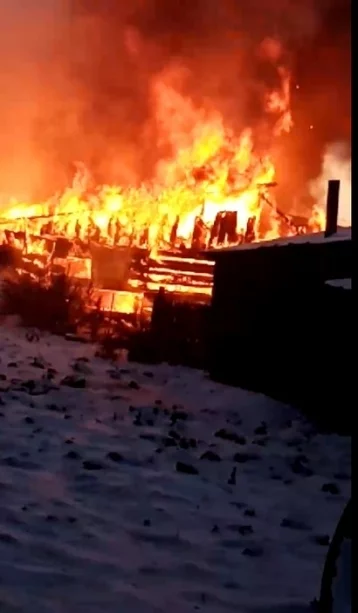 Фото: В Сети появилось видео с места пожара в Кемерове, где погибли девять лошадей 1