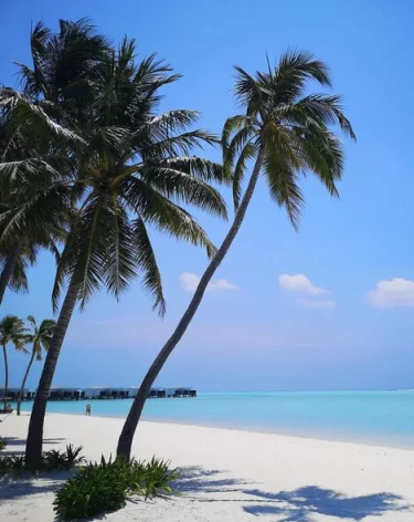 Мужчина, скрывший от жены огромный выигрыш в лотерею, пожалел о своём решении