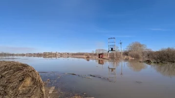 Фото: В кузбасском городе разлилась река, подтоплены огороды 1