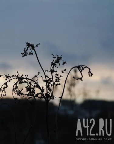 Не ходить в гости и не затевать уборку: народные приметы на 17 октября