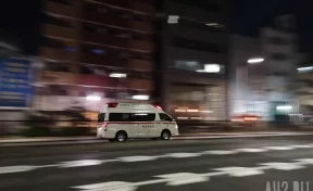 В Японии при падении стальной рамы на концертной площадке пострадали семь человек