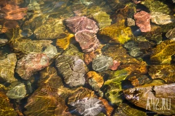 Фото: Власти Кузбасса привлекут к ответственности золотодобытчиков, загрязняющих реки в Тисульком округе 1