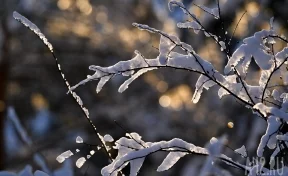 В Гидрометцентре спрогнозировали дату образования снежного покрова в России