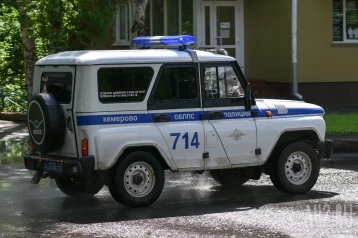 Фото: Полиция задержала хулигана, взорвавшего страйкбольную гранату в Комсомольском парке в Кемерове 1