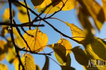 Фото: Нельзя начинать новые дела и отправляться в путешествие: народные приметы на 29 сентября 1