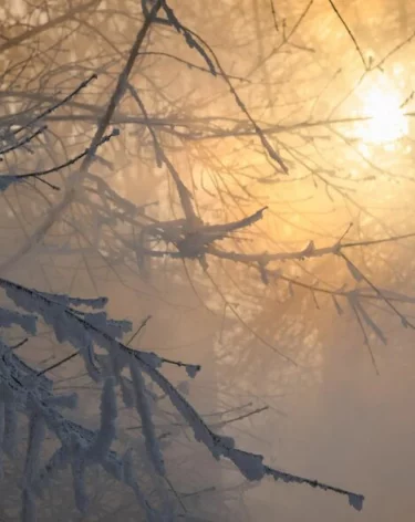 Вильфанд сообщил об экстремально холодной погоде в Кемеровской области