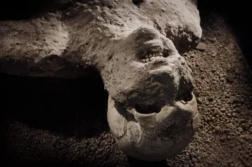 Фото: Взрывались головы: учёные установили, как умирали жители Помпеи при извержении Везувия 1