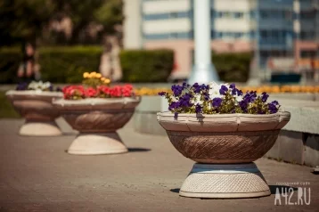 Фото: Кемерово украсят почти 600 цветочных вазонов 1